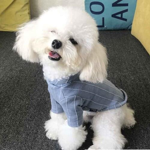 Pet cross lapel solid color bottoming shirt cotton pet dog clothes teddy bichon small dog clothes sweater