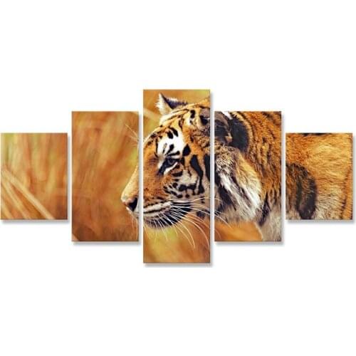 Wildlife Big Cats Tiger Canvas Painting 5 Panel Wall Art Posters and Prints Living Room Bedroom Decoration