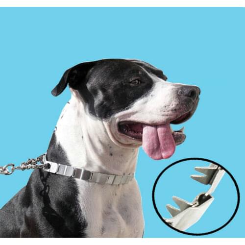 HQ DC02 30-60CM Adjustable Steel Polished Dog Training Chain Prong Collar Choke Chain Collar For Giant dogs