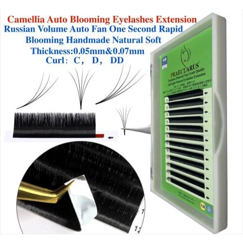 PRAECLARUS False Eyelashes