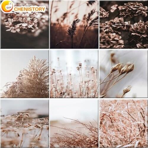 CHENISTORY Plant Figure Painting By Number On Canvas For Adults With Frame Diy Craft Kits Drawing Coloring By Number Home Decor