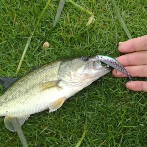 SEALURER Lures Fishing 6cm 6g Fast Sinking Minnow Lures Fishing Bait Minnow Fishing Lures 2020 for Bass Mini Crankbait Wobbler