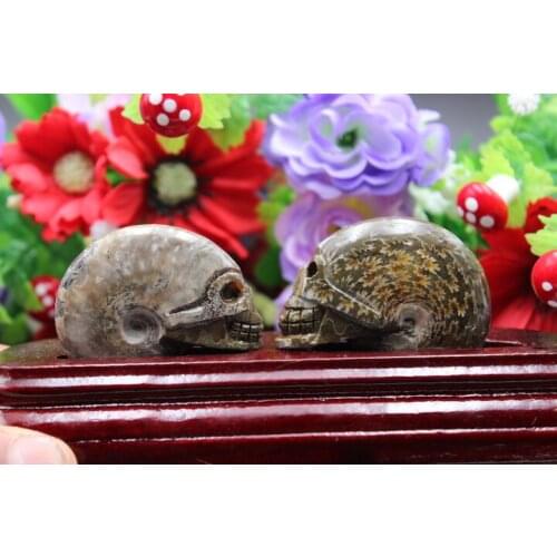 2PCS natural quartz crystal snail fossil skull healing carving A18