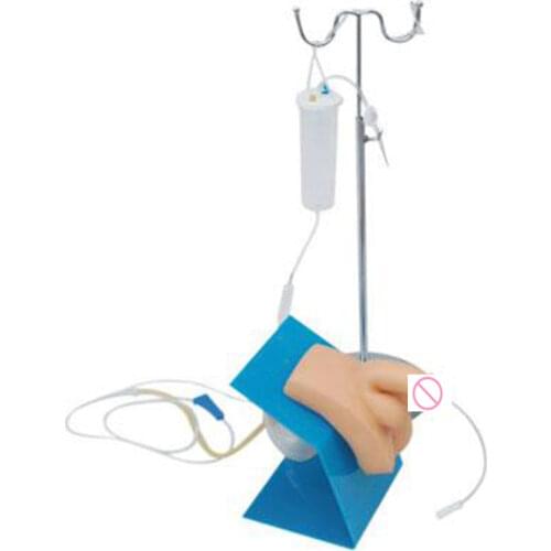 Transparent Male Urethral Catheterization Simulator, Urinary Catheterization model