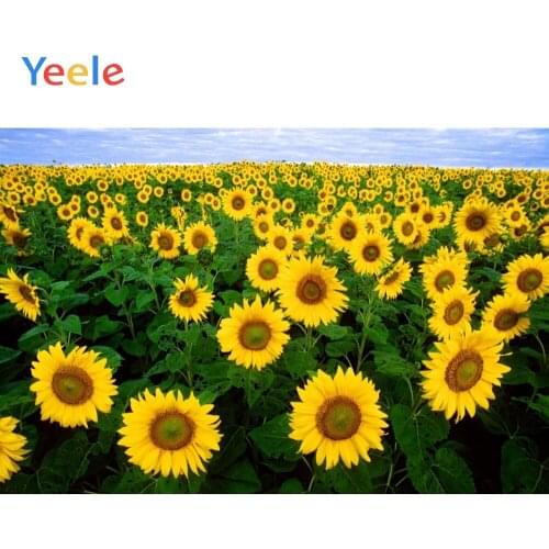 Yeele Blue Sky White Clouds Sunflowers Sea Portrait Photography Backgrounds Photographic Customized Backdrops for Photo Studio