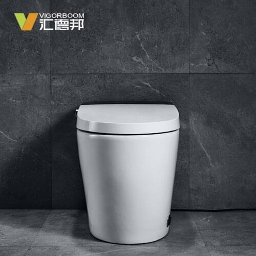 American standard full automatic intelligent siphon toilet