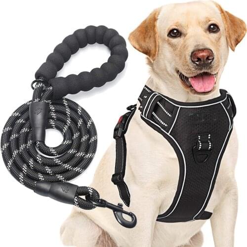 Dog Harness Adjustable Reflective Oxford Easy Control Medium Large Dog Harness with Heavy Duty 5ft Dog Leash Dog supplies
