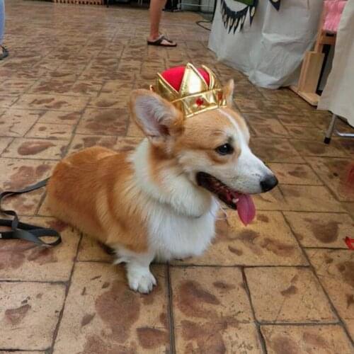 Pet Birthday Hat Cute Crown Crystal Birthday Cap Dog Funny Headwear for Dogs Cats Pet kings Hat Pet Party Cosplay Prop