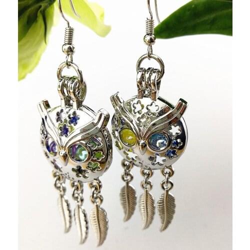 1pair Owl, Cat, Unicorn, Angel, Wing Dreamnet Dangle Earrings Bead Perfume Essential Oil Diffuser Cage Locket Drop Earring