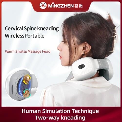 MZ 