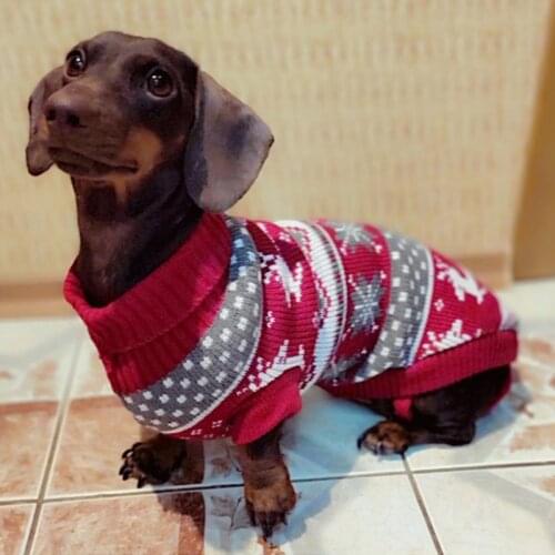 Cartoon Pet Dog Sweater for Small Dogs Winter Warm Puppy Cat Clothes Chihuahua Yorkies Sweatshirt Dog Clothing Pullover Outfit