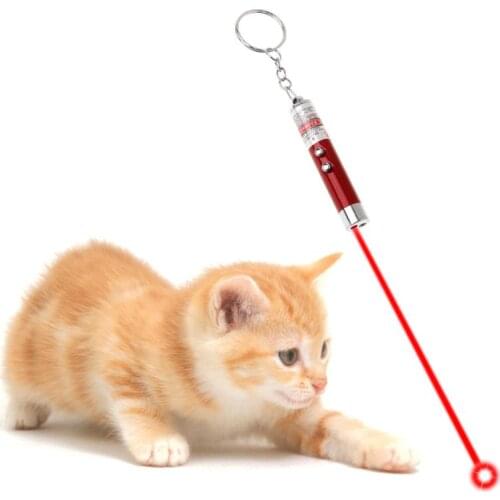 Cat Teaser Light Multi Functional Pet Toys LED Lamp Pen Pointer 2 in 1 Key Ring Dog Pets Products Keychain Portable Aluminum All