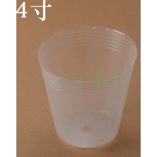 Phalaenopsis / Dendrobium flower pot seedling raising box 4-inch transparent cup nursery garden supplies