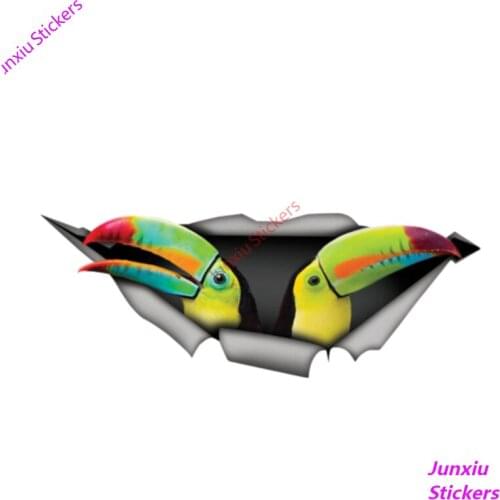Creative Car Sticke Keel-billed Toucan 3D Car Window Decal Accessories Waterproof Quality Vinyl Cover Scratches PVC 13cm X 5cm