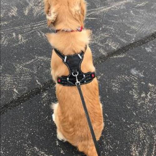 Breathable No Pull Large Dog Harness Vest Soft Adjustable Reflective Durable Pet Harness Medium Big Dog Easy Control