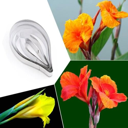 Wholesale 10 Sets(5 Pcs/set) Cannas Stainless Steel Cutters Set Fondant Cake Decorating Cutter Mold Tools