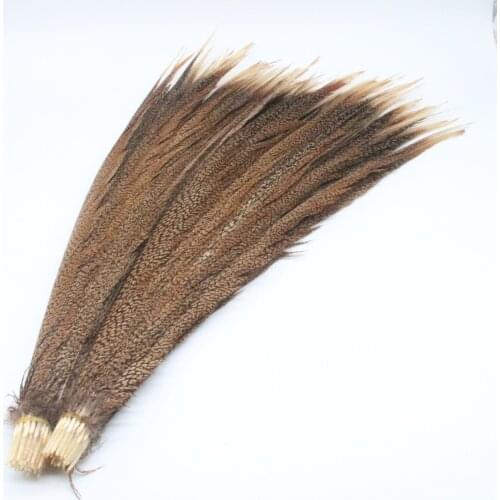 Wholesale 24-28inch/60-70cm Natural Pheasant Tail Feathers For Craft Celebration Decoration Lady Amherst Pheasant Feathers