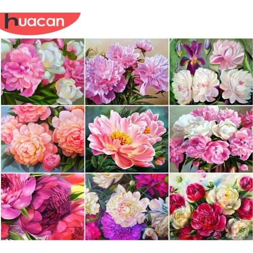 HUACAN Painting By Numbers Peony Flower Kits For Adults Handpainted DIY Coloring By Number Floral Home Decor Drawing On Canvas