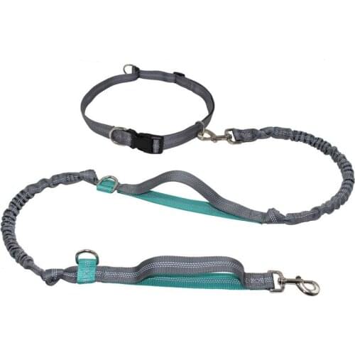 Outdoor Retractable Hands Free Dog Leash With Collar Durable Bungees For Shock Absorption Up To 150 lbs Large Dogs