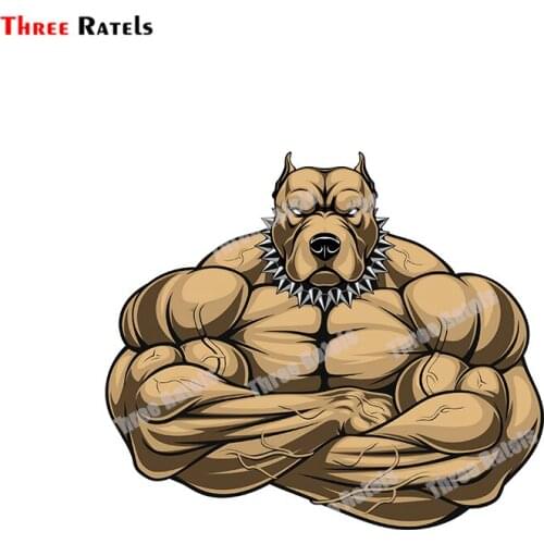 Three Ratels B558 Pitbull Angry Dog Bodybuilder Stickers For Laptop Luggage Skateboard Decor Decals Vinyl Material Waterproof Pr