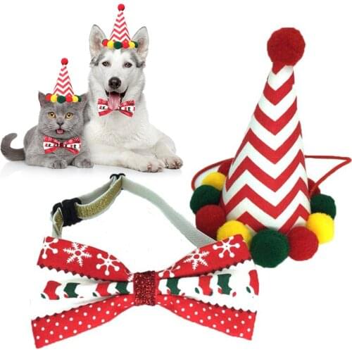 BORUIT Clothes And Footwear For Dogs