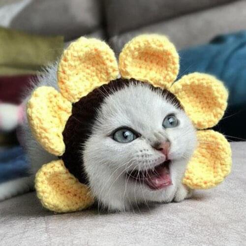 Cute Cartoon Handmade Dog Cat Hat Animal Party Costume Cap Pet Decor Accessory Cat accessories مستلزمات قطط