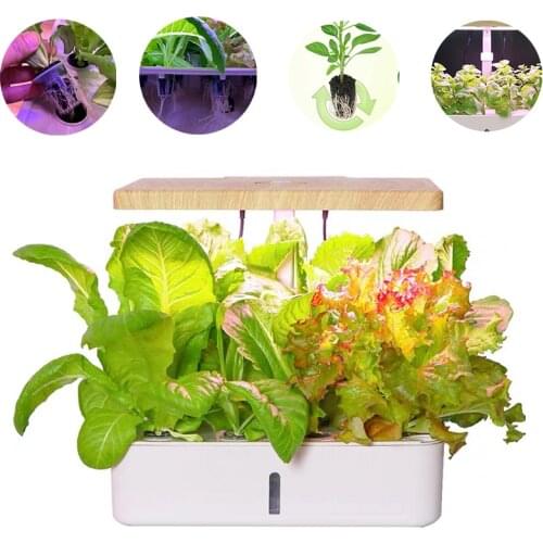 12Hole Hydroponic growth System kit box Intelligent vegetables planters home indoor soilless cultivation equipment cultivator