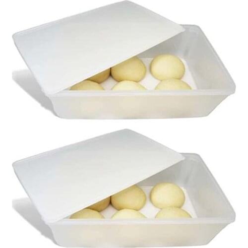 2 Pack Produce Saver Containers for Refrigerator, Pizza Dough Proofing Box,Vegetable Storage Containers for Refrigerator