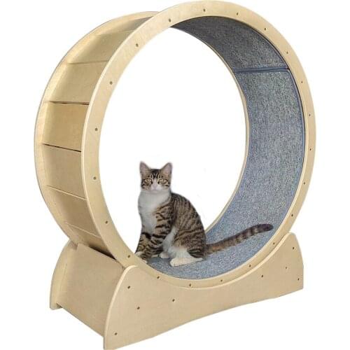 Pet Treadmill Cat Solid Wood Cat Climbing Frame Cat Toy