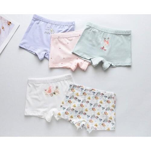 HPBBKD Underwear For Boys China