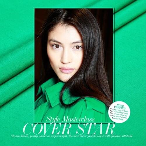 Transparent Emerald Comparable to the Wonderful Texture of Silk Tencel Heavy Fabric Must Buy