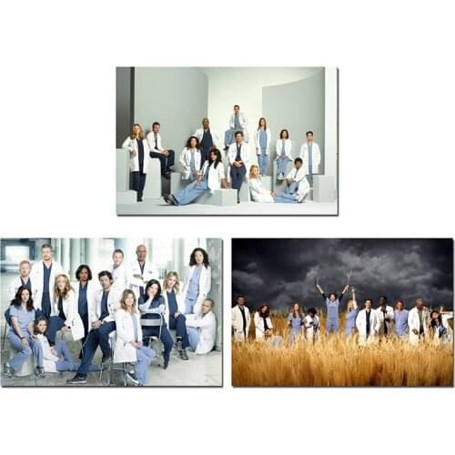 American TV Series Greys Anatomy Diaries Art Prints Silk Canvas For Wall Pictures Room Decoration-002
