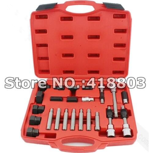 24pcs Hand Tool Set Alternator Freewheel Pulley Removal Set