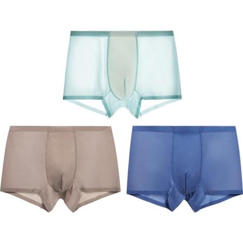 New Ice Silk Transparent Sexy Mens Underwear Ultra-thin Fast Drying Male Boxers Solid Man Boxer Shorts Cueca Calzoncillos JD159