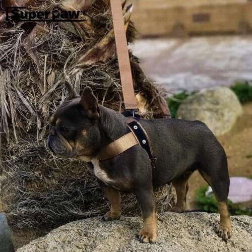 Adjustable Pet Dog Harness Collar Leash Set for Small Medium Large Dogs Bulldog Outdoor Leading Accessories Dropshipping ZLL02