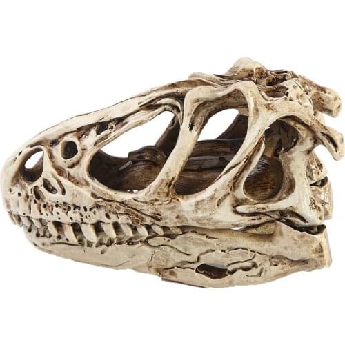 Resin dinosaur skeleton sketch practice classroom teaching accessories Animal skull model