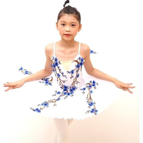 Ballet Dress Tutu Skirts For Girls Flower Embroidery Dance Dress Cute Girls Performance Costumes High Quality