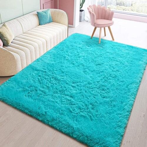 Modern Furry Area Rug Shag Rug for Living Room Fluffy Soft Fuzzy Carpet for Kids Room Home Decor Mat Non-Slip Plush Fuzzy Carpet