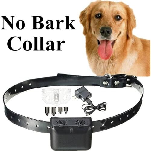 Focuspet Dog Training Collars And Dog Repellents