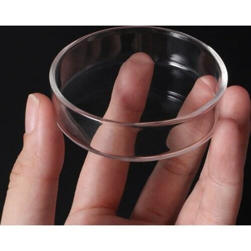 Clear Glass Shrimp Food Round Dishes Small Fish Feeding Bowl high transparent Ornamental Supplies Dropshipping