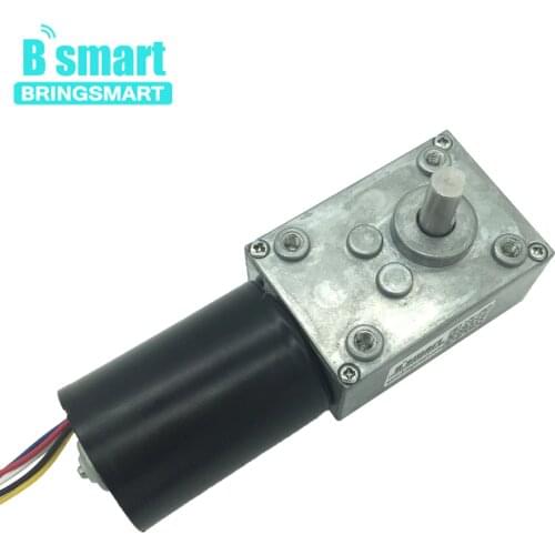 Bringsmart Brushless 12V DC Worm Gear Motor 24V Reversible Mini Electric Machine High Torque Self-lock Micro BLDC Motor