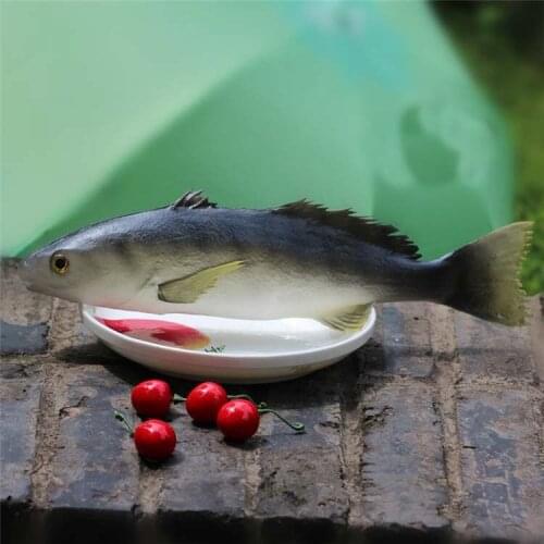 Freshwater Seafood Food Fish Model Simulation Pu Fake Kid Toys Model Kitchen Decoration Props Teaching Materials Teaching Aids