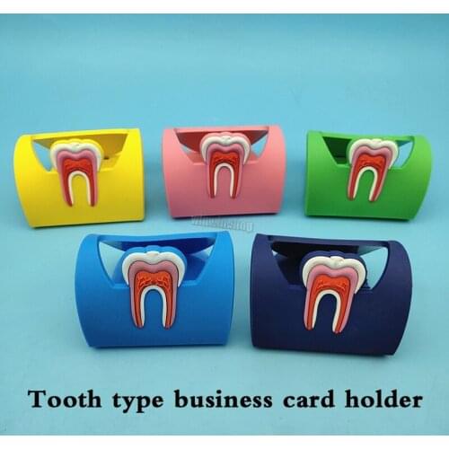 5pcs Storage Stand for Dental Clinic Cute Name Card Holders Dental Rubber Teeth-Shape Molar Shaped Phone Display Dentist Gift