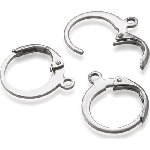 100pcs 201 Stainless Steel Lever Back Earring Hooks Components for Jewelry Making DIY Accessories Findings 14.5x12x2mm Hole: 1mm