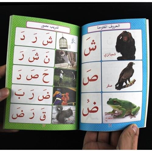 Islamic Alphabet books for Kids Early Education Animals/Fruit/Traffic Words In Arabic Book Children Learning Arabic Picture Book