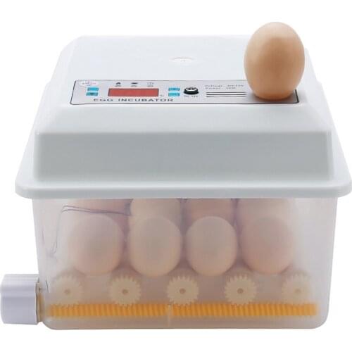 16 Eggs Incubator Farm Hatchery Brooder Machine Automatic Egg Incubator Bird Quail Brooder for Chicken Duck Goose Pigeon Hatcher