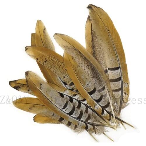 30-160CM (12-64 inches) natural ground chicken tail feathers 10 PCS DIY craft accessories opera mule accessories feathers