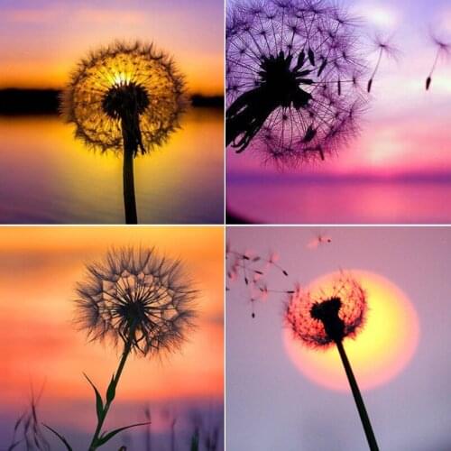 5D DIY diamond embroidery dandelion full Drill rhinestone needlework diamond mosaic kit diamond painting cross stitch Home Decor