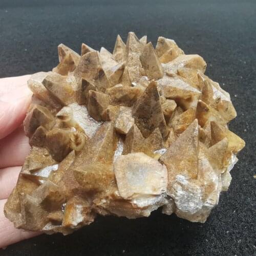 168gCelebrity! 100% natural conodont calcite mineral specimens, crystal and stone decoration, quartz gem collection ornaments