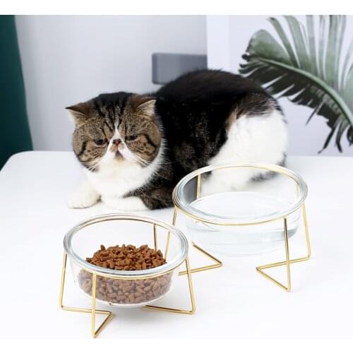 Cat Bowl Glass Water Drinking Drinker Feeder Food Feeding Dispenser Chats Dogs Goods For Cats Accessories Animal Supplies #P002